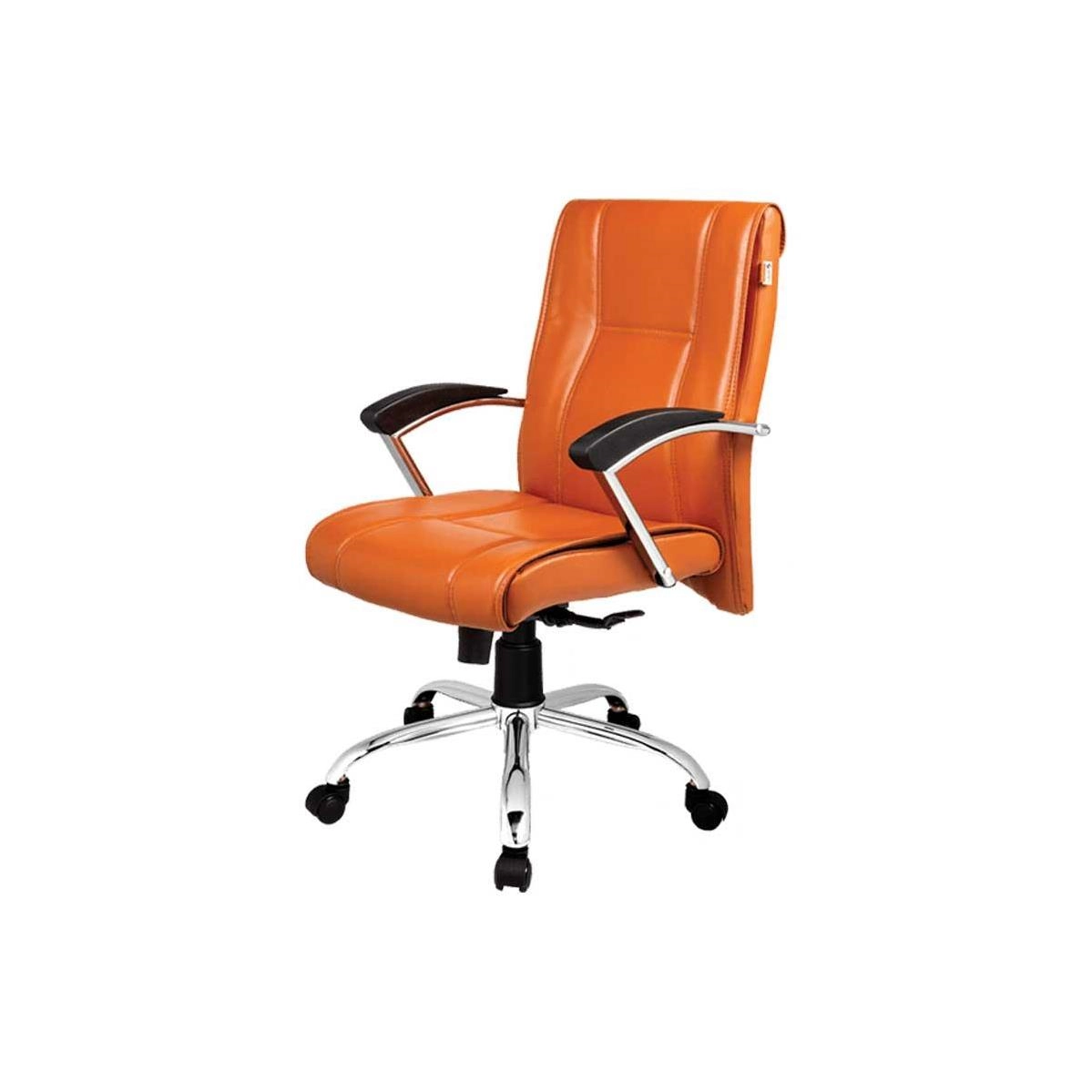 صندلی کارشناسی S3100 راحتیران (گارانتی دار) 094bd75e-3296-4a59-86e1-a5e59798499b.jpg