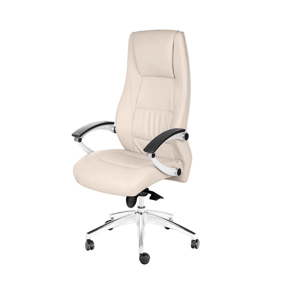 صندلی مدیریتی اسکای   MS870 1accd187-c918-43ce-b408-42acd5eeec65.jpg