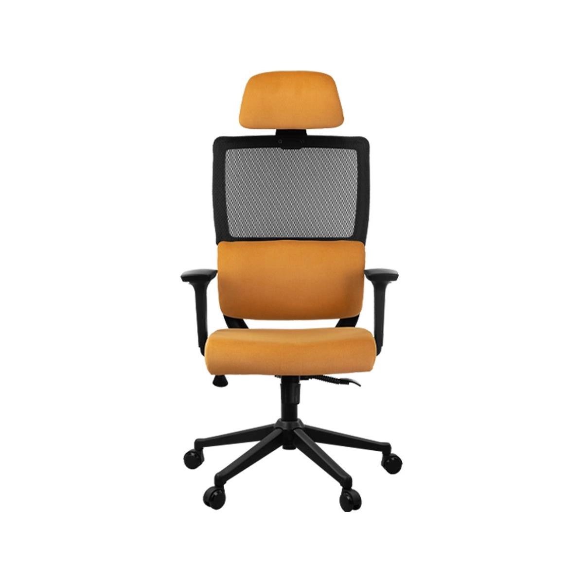 صندلی مدیریتی مش T 3115 91f6dfcb-162a-4c37-a540-00c5d951dc79.jpg