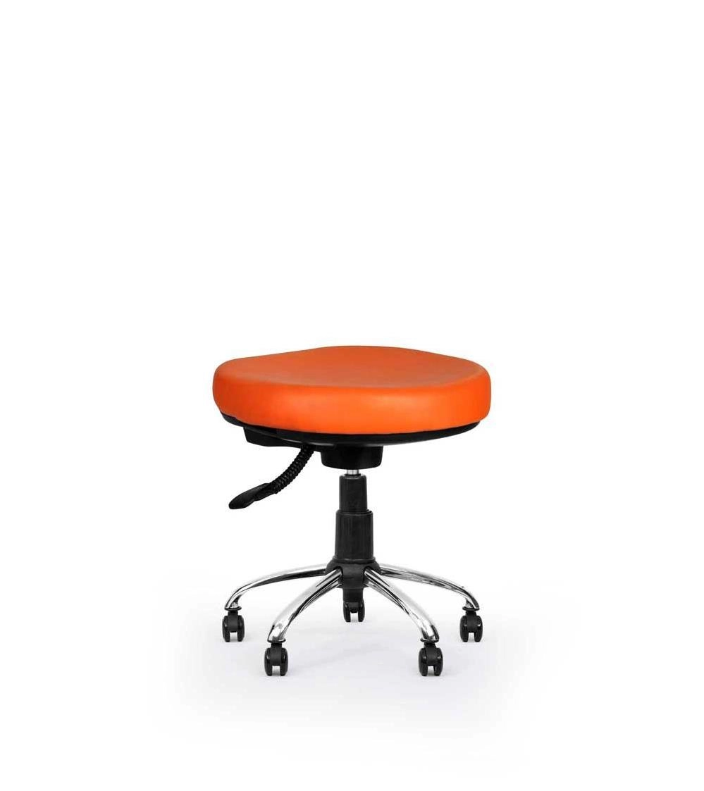 صندلی آزمایشگاهی D.L106 cf82ce59-1871-4f72-8ee2-69ce5b9bc0a4.jpg